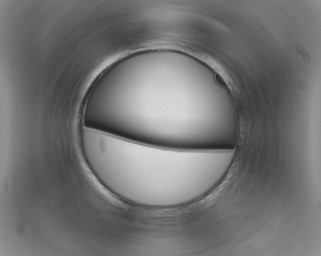 X0000111421142200907131014