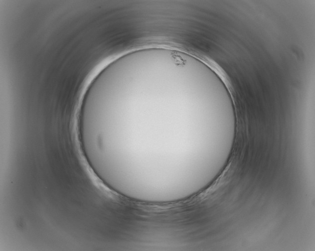 X0000111421144200907131014