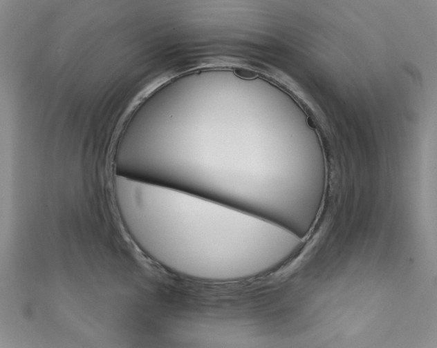 X0000111421145200907131014
