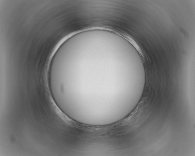 X0000111421148200907131014