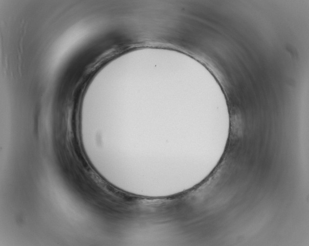 X0000111421150200907131014