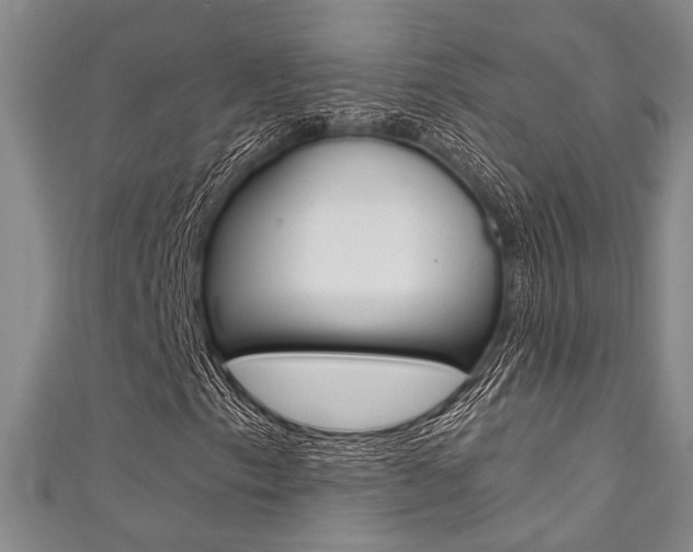 X0000111421153200907131014