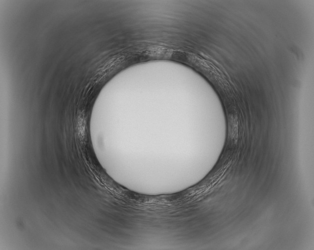 X0000111421154200907131014