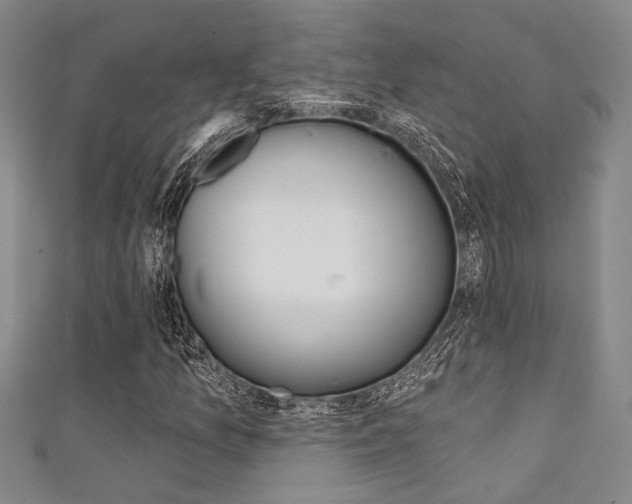 X0000111421157200907131014