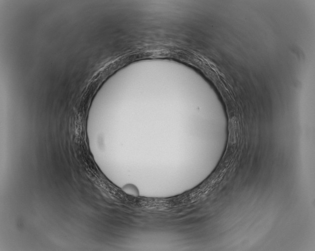 X0000111421158200907131014