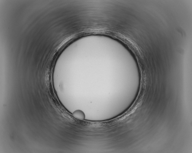 X0000111421162200907131014