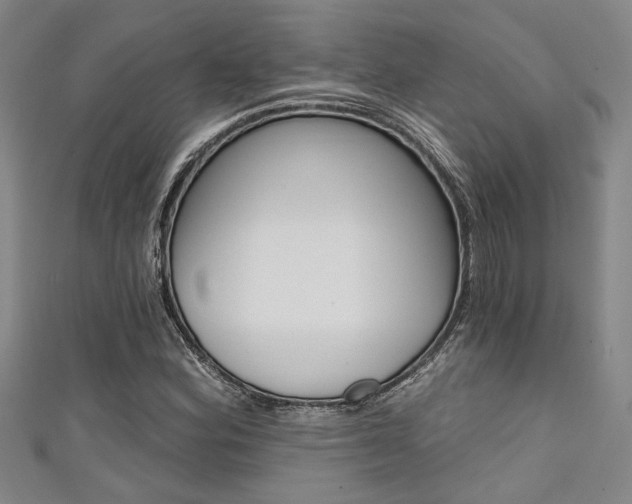 X0000111421164200907131014