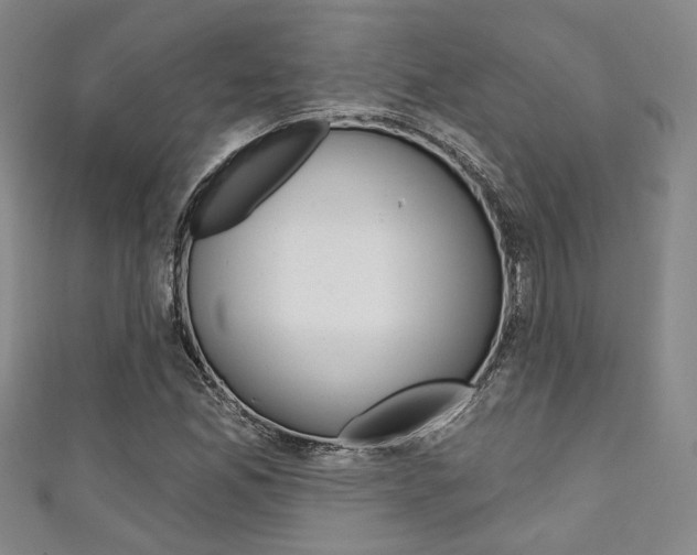 X0000111421165200907131014