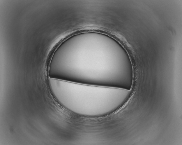 X0000111421167200907131014