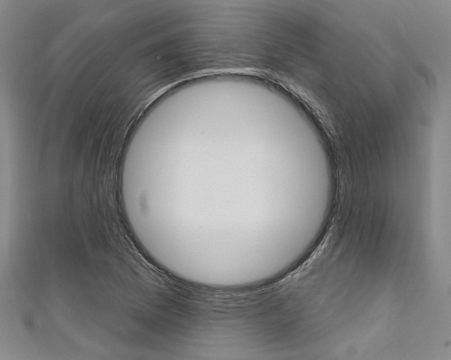 X0000111421169200907131014
