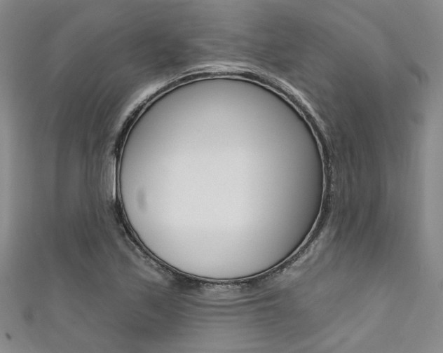 X0000111421171200907131014