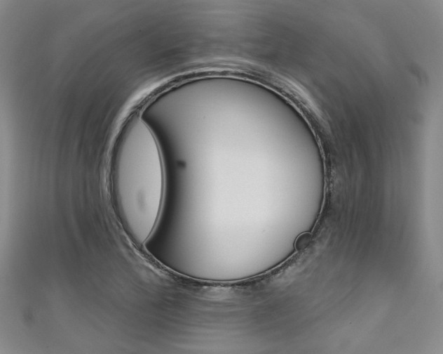 X0000111421172200907131013