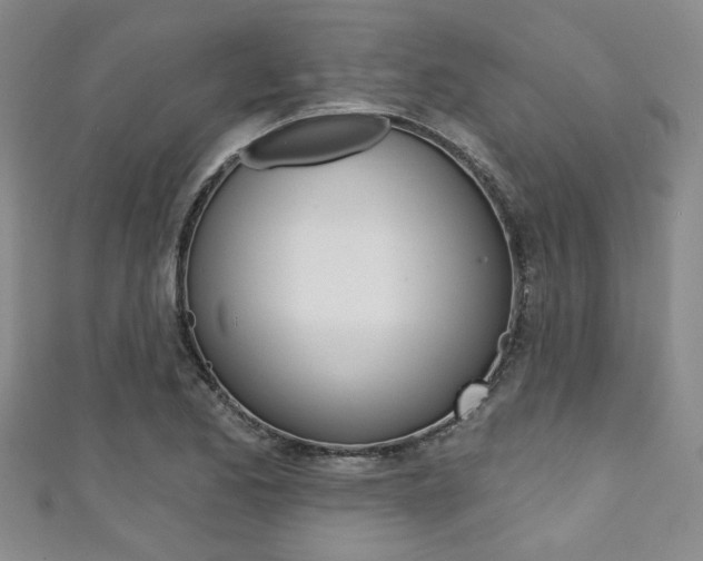 X0000111421173200907131013