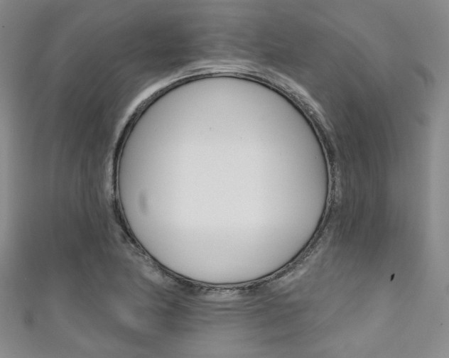 X0000111421174200907131013
