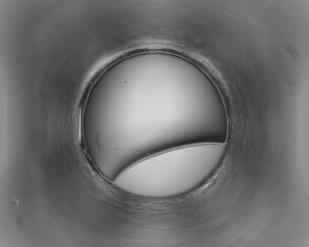 X0000111421175200907131013