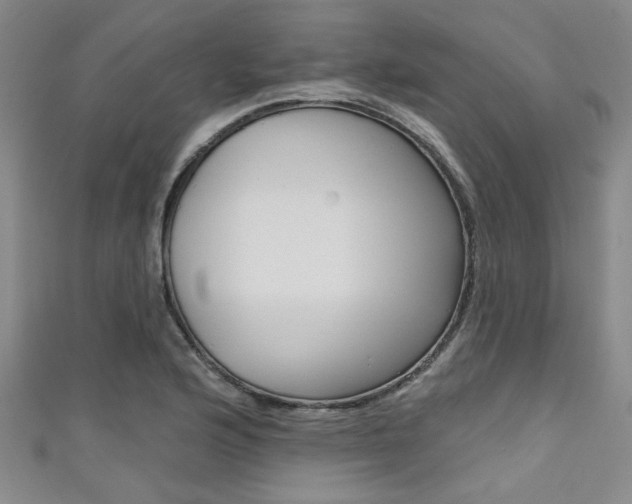 X0000111421176200907131013