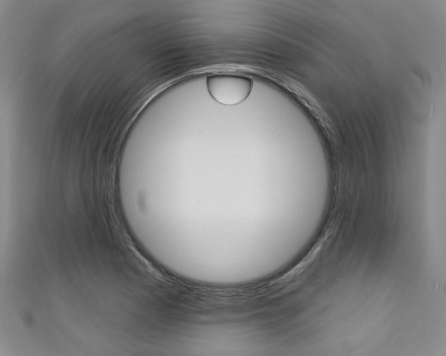X0000111421177200907131013