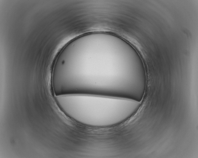 X0000111421179200907131013