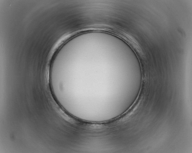 X0000111421180200907131013