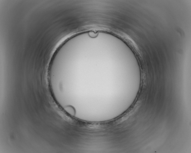 X0000111421182200907131013