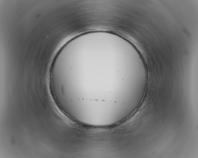 X0000111421187200907131013