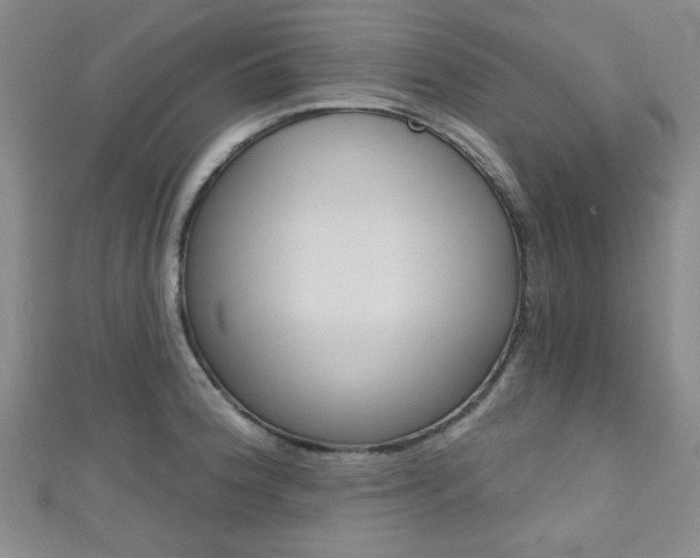 X0000111421188200907131013