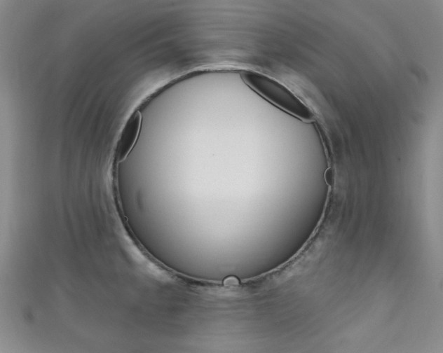 X0000111421189200907131013