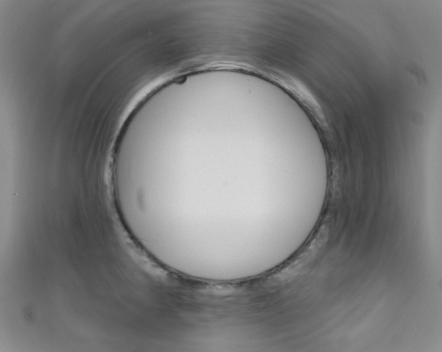 X0000111421190200907131013