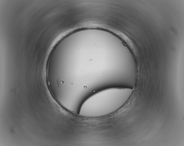 X0000111421191200907131013