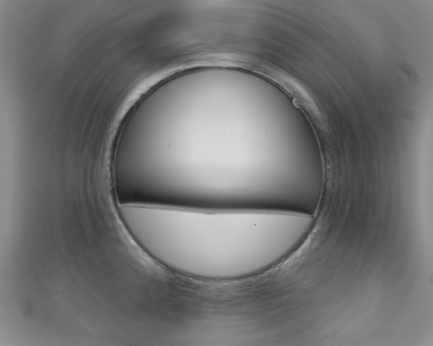 X0000111421192200907131013