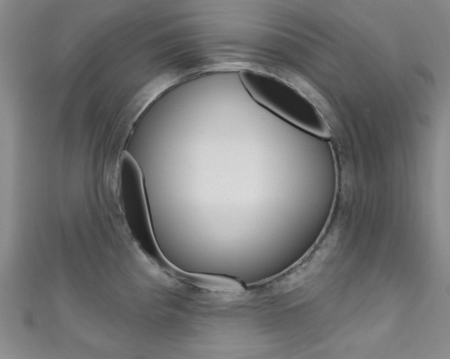 X0000111421193200907131013
