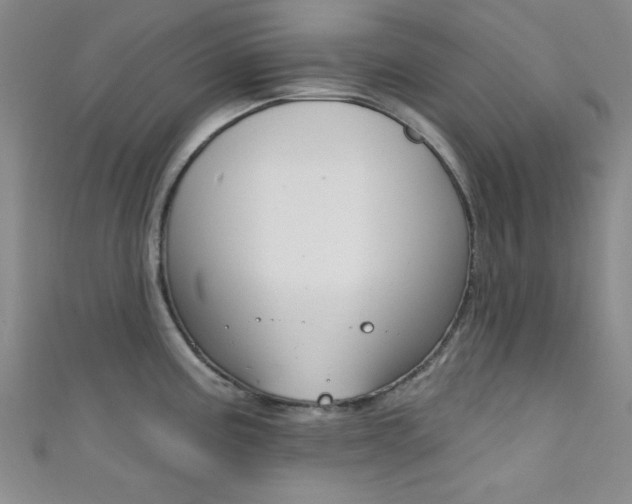 X0000111421195200907131013