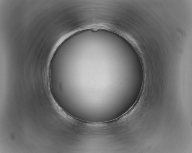 X0000111421200200907131013