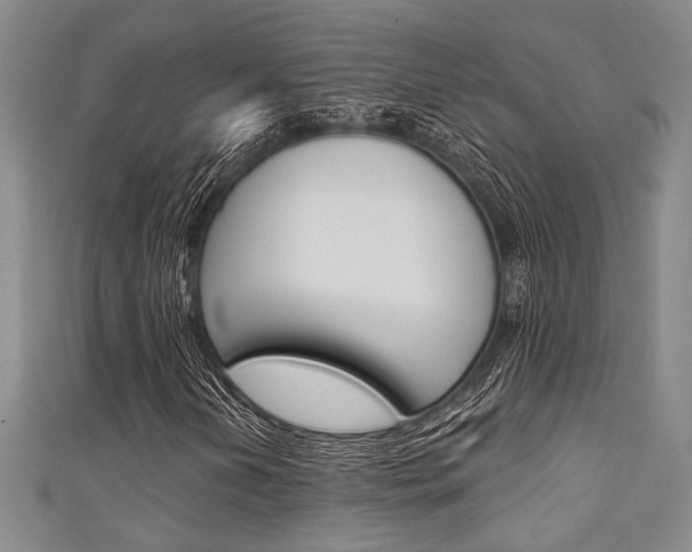 X0000111421202200907131013