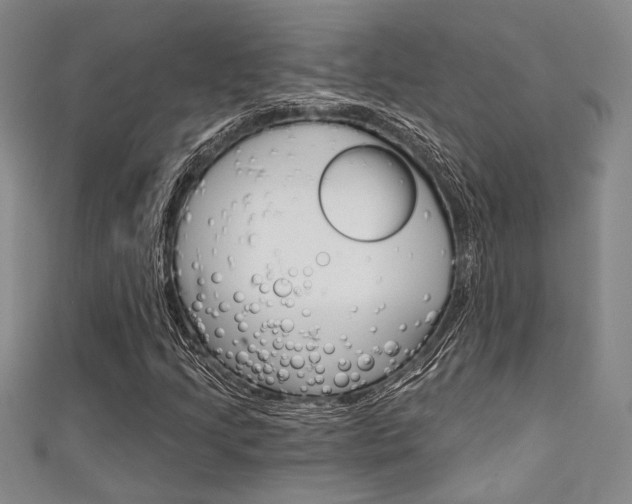 X0000111421205200907131013