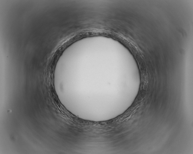 X0000111421207200907131013