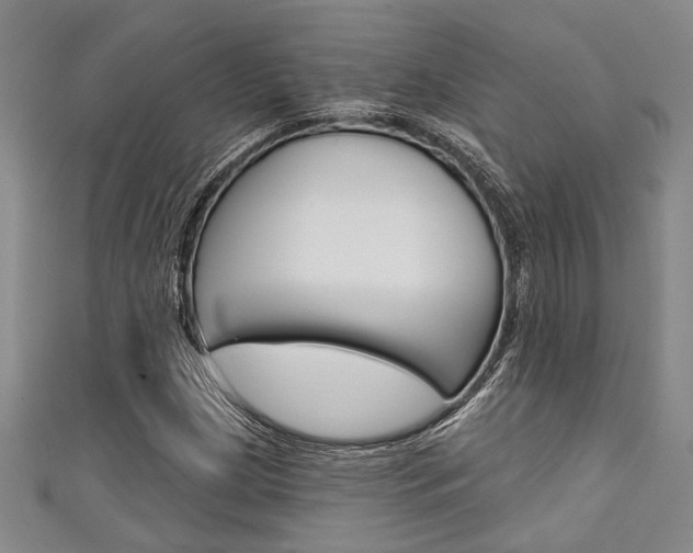 X0000111421209200907131013