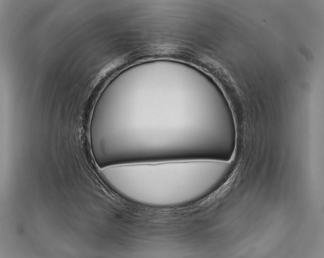 X0000111421210200907131013