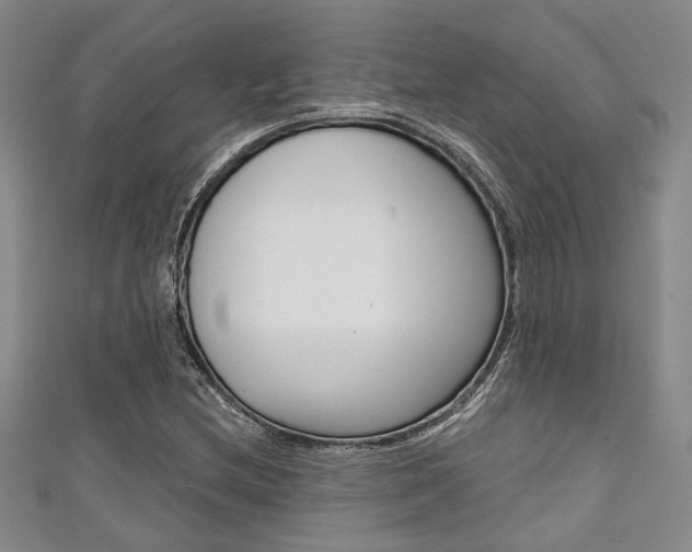 X0000111421212200907131013