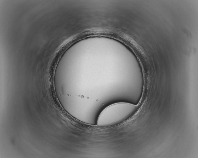 X0000111421213200907131013