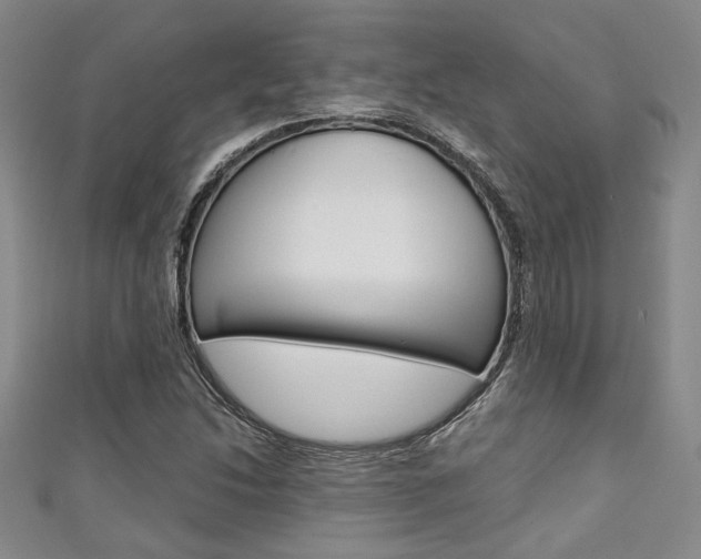 X0000111421214200907131013