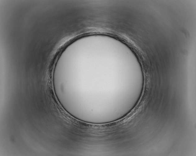 X0000111421215200907131013