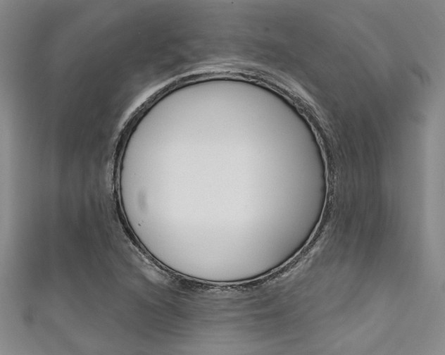 X0000111421216200907131013