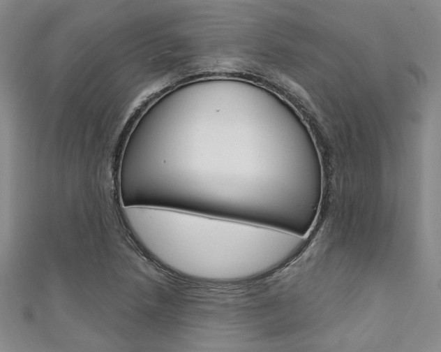 X0000111421218200907131013