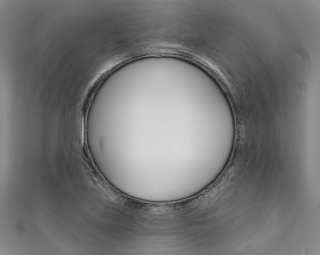X0000111421219200907131013