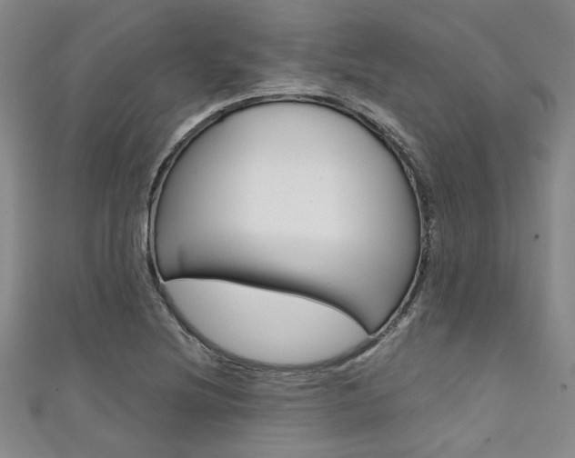 X0000111421220200907131013