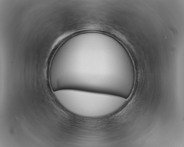 X0000111421222200907131013