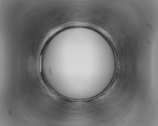 X0000111421223200907131013
