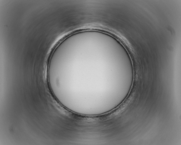X0000111421224200907131013