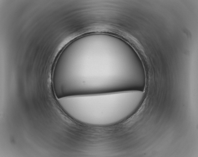 X0000111421226200907131013